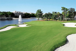Grande Pines Golf Club FL L3.jpg - Teebone Golf Courses Images